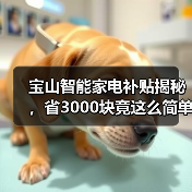 宝山智能家电补贴揭秘,省3000块竟这么简单?(图2) 宝山智能家电补贴揭秘,省3000块竟这么简单?(图2)