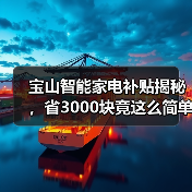 宝山智能家电补贴揭秘,省3000块竟这么简单?(图4) 宝山智能家电补贴揭秘,省3000块竟这么简单?(图4)