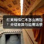红黄褐榄仁木怎么辨别?关键差异与应用场景解析(图2) 红黄褐榄仁木怎么辨别?关键差异与应用场景解析(图2)