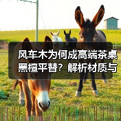 风车木为何成高端茶桌黑檀平替?解析材质与市场趋势(图2) 风车木为何成高端茶桌黑檀平替?解析材质与市场趋势(图2)