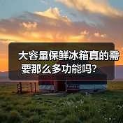 大容量保鲜冰箱真的需要那么多功能吗?(图3) 大容量保鲜冰箱真的需要那么多功能吗?(图3)