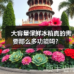 大容量保鲜冰箱真的需要那么多功能吗?(图4) 大容量保鲜冰箱真的需要那么多功能吗?(图4)