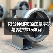 阳台种桂花的注意事项与养护技巧详解