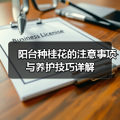 阳台种桂花的注意事项与养护技巧详解（图3）