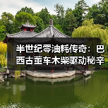 半世纪零油耗传奇：巴西古董车木柴驱动秘辛（图3）