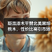 斯温漆木平替北美黑胡桃木,性价比高引市场关注(图2) 斯温漆木平替北美黑胡桃木,性价比高引市场关注(图2)