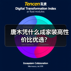 唐木凭什么成家装高性价比优选？