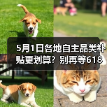 5月1日各地自主品类补贴更划算？别再等618，错过这波羊毛太可惜（图3）