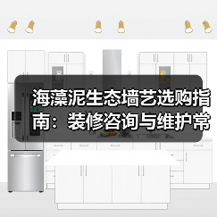 海藻泥生态墙艺选购指南：装修咨询与维护常