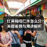 红黄褐榄仁木怎么分？关键差异与用途解析
