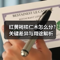 红黄褐榄仁木怎么分？关键差异与用途解析（图3）