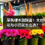 采购硬木别踩雷!大巴花与小巴花怎么选?(图2) 采购硬木别踩雷!大巴花与小巴花怎么选?(图2)