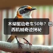 木柴驱动老车50年?巴西机械奇迹揭秘(图2) 木柴驱动老车50年?巴西机械奇迹揭秘(图2)
