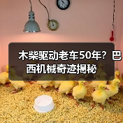 木柴驱动老车50年？巴西机械奇迹揭秘