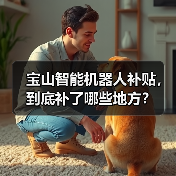 宝山智能机器人补贴，到底补了哪些地方？