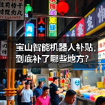 宝山智能机器人补贴,到底补了哪些地方?(图2) 宝山智能机器人补贴,到底补了哪些地方?(图2)