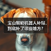 宝山智能机器人补贴,到底补了哪些地方?(图3) 宝山智能机器人补贴,到底补了哪些地方?(图3)