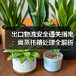 出口物流安全通关指南：熏蒸托箱处理全解析（图2）