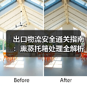 出口物流安全通关指南：熏蒸托箱处理全解析（图4）