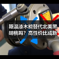 斯温漆木能替代北美黑胡桃吗？高性价比成新