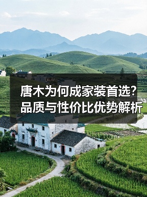 唐木为何成家装首选？品质与性价比优势解析