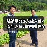 墙纸甲醛多久能入住？安全入住时间和费用全