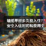 墙纸甲醛多久能入住？安全入住时间和费用全解析（图3）