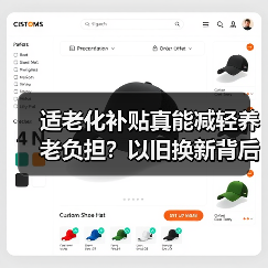 适老化补贴真能减轻养老负担？以旧换新背后的隐性成本分析（图3）