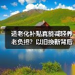 适老化补贴真能减轻养老负担？以旧换新背后的隐性成本分析（图4）