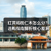 红黄褐榄仁木怎么分？选购指南解析核心差异（图4）