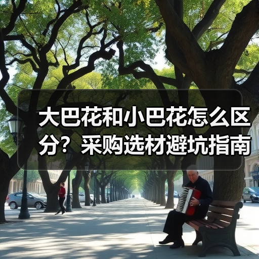 大巴花和小巴花怎么区分？采购选材避坑指南（图4）