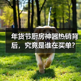 年货节厨房神器热销背后,究竟是谁在买单?(图1) 年货节厨房神器热销背后,究竟是谁在买单?(图1)
