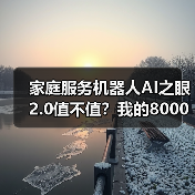家庭服务机器人AI之眼2.0值不值？我的8000元教训分析（图3）