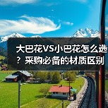 大巴花VS小巴花怎么选？采购必备的材质区