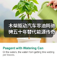 木柴驱动汽车零油耗驰骋五十年替代能源传奇(图3) 木柴驱动汽车零油耗驰骋五十年替代能源传奇(图3)