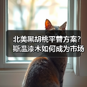 北美黑胡桃平替方案？斯温漆木如何成为市场