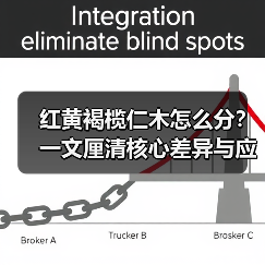 红黄褐榄仁木怎么分?一文厘清核心差异与应用边界(图3) 红黄褐榄仁木怎么分?一文厘清核心差异与应用边界(图3)