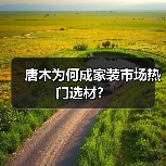唐木为何成家装市场热门选材?(图2) 唐木为何成家装市场热门选材?(图2)
