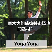唐木为何成家装市场热门选材?(图3) 唐木为何成家装市场热门选材?(图3)