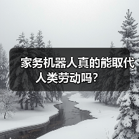 家务机器人真的能取代人类劳动吗?(图3) 家务机器人真的能取代人类劳动吗?(图3)