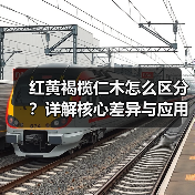 红黄褐榄仁木怎么区分?详解核心差异与应用场景(图4) 红黄褐榄仁木怎么区分?详解核心差异与应用场景(图4)