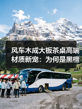 风车木成大板茶桌高端材质新宠：为何是黑檀平替？（图3）