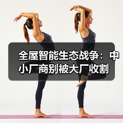 全屋智能生态战争:中小厂商别被大厂收割(图4) 全屋智能生态战争:中小厂商别被大厂收割(图4)