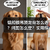 铝扣板吊顶龙骨怎么选?间距怎么定?实用指南全解析(图2) 铝扣板吊顶龙骨怎么选?间距怎么定?实用指南全解析(图2)