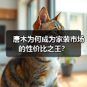 唐木为何成为家装市场的性价比之王？（图4）