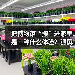 把博物馆“搬”进家里是一种什么体验？弧屏