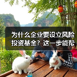 为什么企业要设立风险投资基金？这一步能帮你解决融资难题（图1）