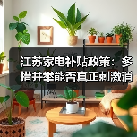 江苏家电补贴政策:多措并举能否真正刺激消费?(图3) 江苏家电补贴政策:多措并举能否真正刺激消费?(图3)