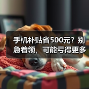 手机补贴省500元?别急着领,可能亏得更多(图3) 手机补贴省500元?别急着领,可能亏得更多(图3)