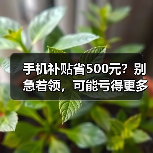 手机补贴省500元?别急着领,可能亏得更多(图4) 手机补贴省500元?别急着领,可能亏得更多(图4)